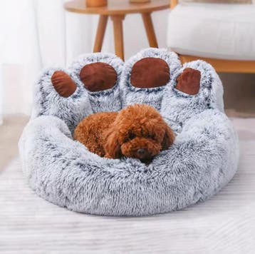 Beer Poot Huisdierbed | Hondenmand en Kattenmand | Nieuw, Dieren en Toebehoren, Verzenden, Nieuw
