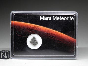 NWA 12564 - Mars-meteoriet Shergottiet-snijstuk - 0.36 g
