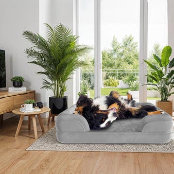 Orthopedisch hondenbed Kimba met hoge rand, Verzenden, Nieuw