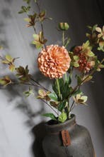 Brynxz Dahlia sweet nude 80 cm, Ophalen of Verzenden, Nieuw