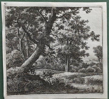 Anthonie Waterloo (c.1610-1690) - Il grande albero inclinato