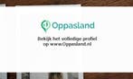 Ik ben Aline, 38 jaar oud en ik zoek oppaswerk in Ommen., Nieuw