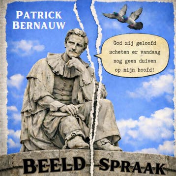Beeldspraak | Patrick Bernauw | Nieuw, Ophalen of Verzenden, Nieuw, Patrick Bernauw