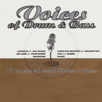 cd - Various - Voices Of Drum &amp; Bass, Verzenden, Zo goed als nieuw