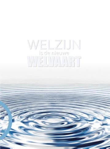 Welzijn is de nieuwe welvaart - Reinier Castelein, Verzenden, Zo goed als nieuw, Reinier Castelein