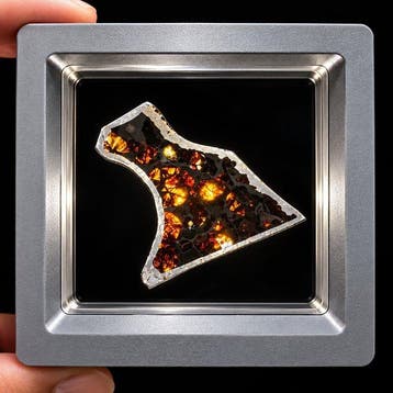 Uitzonderlijke Sericho-pallasietmeteoriet Olivine-rijke