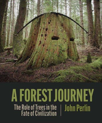 A Forest Journey - John Perlin 9781938340970, Verzenden, Zo goed als nieuw, John Perlin