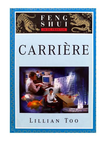 Carriere / Feng-shui in de praktijk - L. Too 9789024604166, Verzenden, Zo goed als nieuw, L. Too