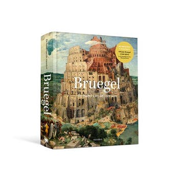 Bruegel - Manfred Sellink 9789492677631, Boeken, Kunst en Cultuur | Beeldend, Verzenden, Zo goed als nieuw, Manfred Sellink