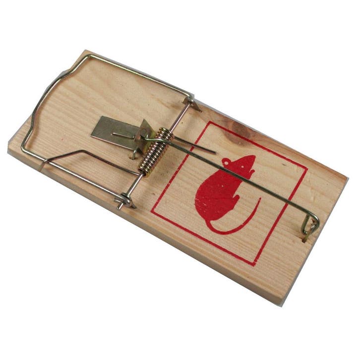 Benson Houten muizenval - Jumbo formaat - 170 x 80 x 5 mm..., Diensten en Vakmensen, Ongediertebestrijding
