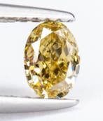 Zonder minimumprijs - 1 pcs Diamant (Natuurlijk gekleurd) -, Sieraden, Tassen en Uiterlijk, Edelstenen, Nieuw