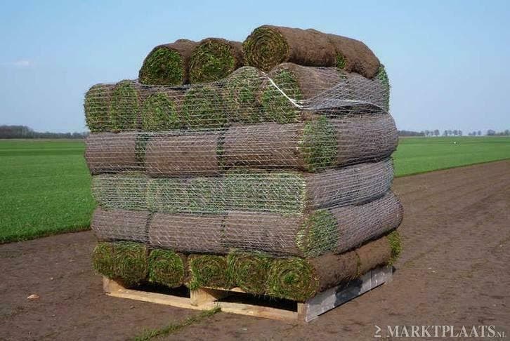 Speelgazon graszoden en schaduwgras, grasmatten., Tuin en Terras, Gras en Kunstgras, Gras, Nieuw, Ophalen of Verzenden