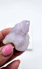 Cactuskwarts - Cactus Amethist, Ophalen of Verzenden