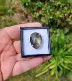 Ring van gouden obsidiaan uit Mexico. Montage op 925 zilver.