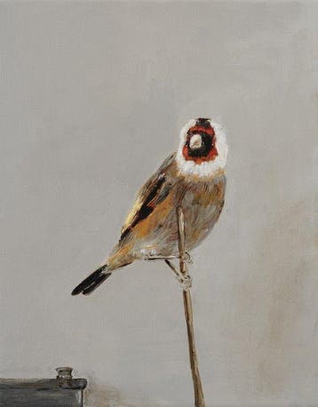 Matthieu van Riel - Het puttertje (Na Fabritius)