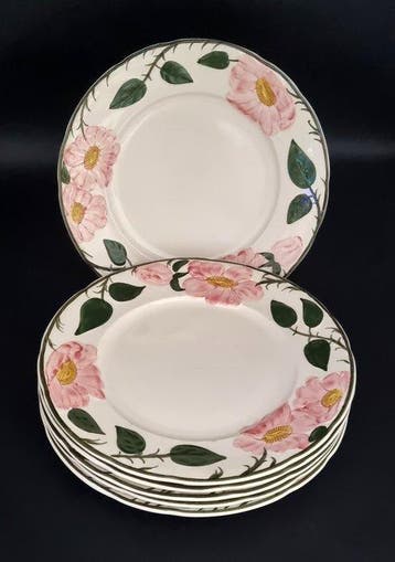 Villeroy & Boch - Bord (6) - 1.Wahl! Wild-Rose 6 x