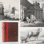 Salomon Munk - Palestine. Description géographique,