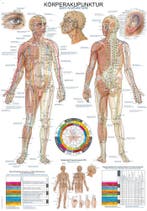Anatomie poster meridianen (Duits/Engels, papier, 50x70...., Nieuw