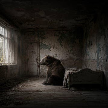 Rudy barret - The Last Witness - XL
