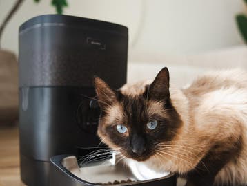 Automatische voerbak kat met Full HD camera 4L - Pets Pride, Verzenden, Automatisch, Nieuw
