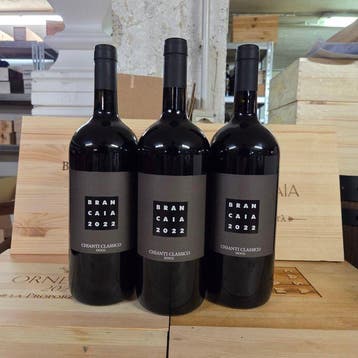 2022 Brancaia - Chianti Classico DOCG - 3 Magnums (1.5L), Nieuw