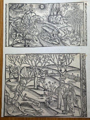 Johann Grüninger, Straßburg 1502 / Sebastian Brant - 2