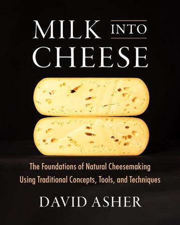 9781603588874 Milk Into Cheese David Asher, Verzenden, Nieuw, David Asher
