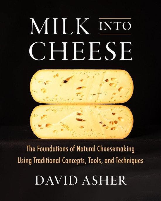 9781603588874 Milk Into Cheese David Asher, Boeken, Informatica en Computer, Nieuw, Verzenden