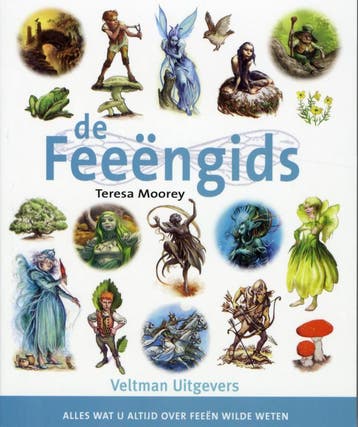Esoterie gidsen De feeëngids / Esoterie gidsen - T. Moorey, Boeken, Verzenden, Gelezen, T. Moorey