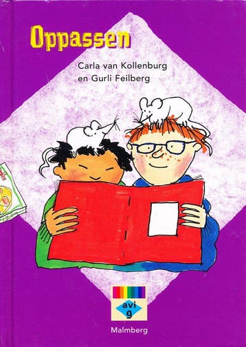 Leeskist ruit leesboekje Oppassen, Verzenden, Nieuw