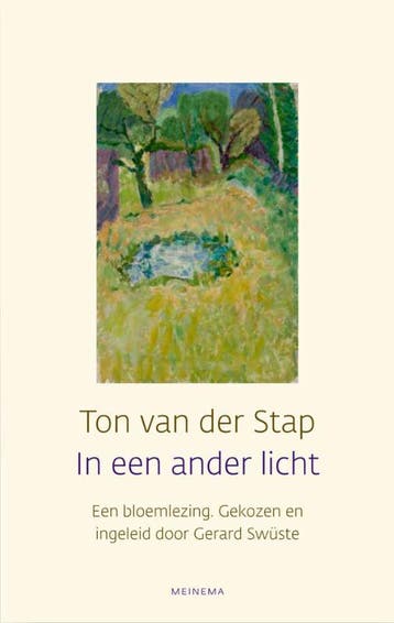 In een ander licht 9789021142944 Ton van der Stap, Boeken, Verzenden, Gelezen, Ton van der Stap