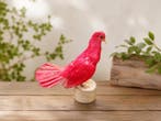 Huisduif Taxidermie volledige montage - Columba livia, Nieuw