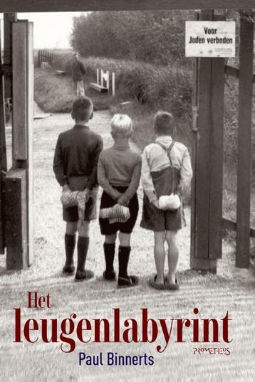 Het Leugenlabyrint | Paul Binnerts | Nieuw, Ophalen of Verzenden, Nieuw, Paul Binnerts