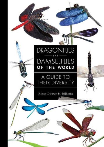 9780691255033 A Guide to Every Family- Dragonflies and Da..., Boeken, Verzenden, Nieuw, Klaas-Douwe B. Dijkstra