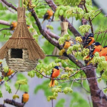 Handgeweven Riet Vogelhuisje - Natuurlijke Stro Nestkast voo, Verzenden, Nieuw