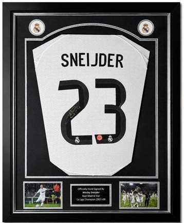 Real Madrid - Europese voetbal competitie - Wesley Sneijder, Nieuw