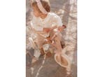 Little Dutch LD6080.PINK - 4 in 1 Driewieler - Duwstang, Verzenden, Nieuw, Little Dutch