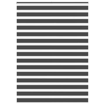 vidaXL Zebra rolgordijn 165x230 cm stofbreedte 160,9 cm, Verzenden, Nieuw, Zwart