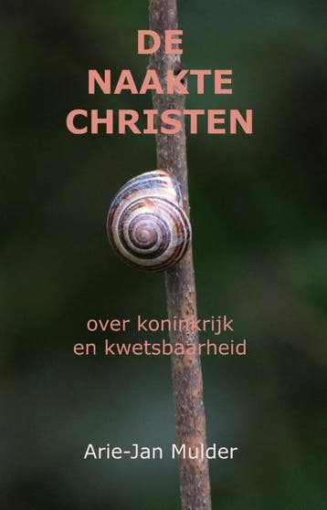 De Naakte Christen | Arie-Jan Mulder | Nieuw, Ophalen of Verzenden, Nieuw, Arie-Jan Mulder