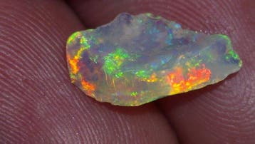 Coober Pedy Opal Edelsteen Fossiel Ruw Exemplaar- 1 g - (1), Verzamelen
