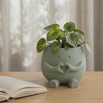 Unieke Bloempot met Gezicht - Schattige Resin Plantenbak voo, Verzenden, Nieuw