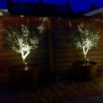 Solar LED prikspot Accent – RVS tuinspot met grondspies, Verzenden, Minder dan 50 watt, Staande lamp, Nieuw