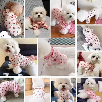 Honden T-shirt Zomer –Aardbeienprint, Ademend en Comfortabel, Verzenden, Nieuw