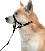 Easy Control - maat 1 - max 20 cm snuitomvang, Dieren en Toebehoren, Verzenden, Nieuw