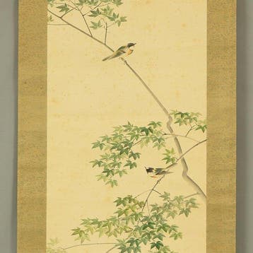 Two Small Birds Perched on Green Maple Tree with Original