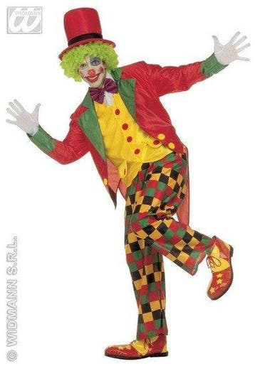 Clown Deluxe Kostuum, Ophalen of Verzenden, Nieuw