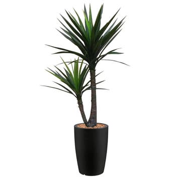 Yucca kunstplant, H200cm, Ophalen of Verzenden, Overige soorten, 200 cm of meer