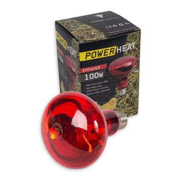 Infrarood lamp 100 Watt, Ophalen of Verzenden, Nieuw