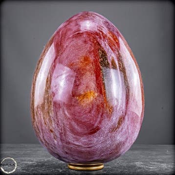 Ei van natuurlijk versteend hout – 4,4 kg fossiele