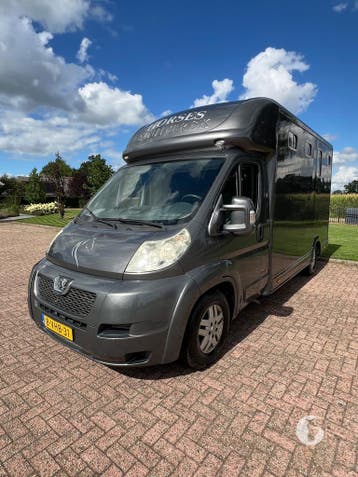 Prachtige Peugeot paardenwagen, slechts 36.000KM!, Ophalen, Zo goed als nieuw, Aluminium, 2-paards trailer